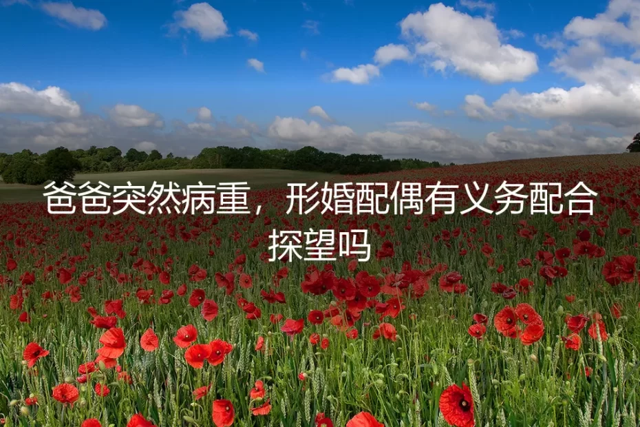 形婚实务深度答疑:当家人病重,你的“配偶”有义务配合探望吗?
