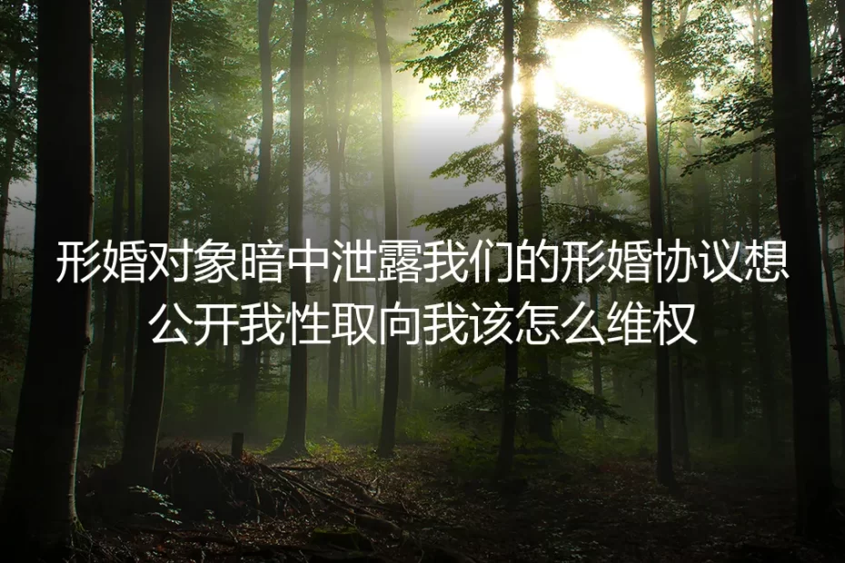 形婚维权深度FAQ：对象泄露形婚协议、要挟公开性取向怎么办？