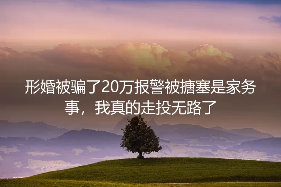形婚被骗20万报警被搪塞是家务事?绝境当事人的追款与避坑全复盘