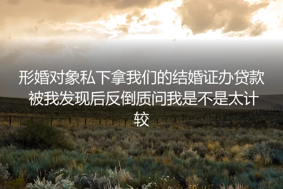 翻到那笔30万共同贷款时，我的形婚搭档说我太计较