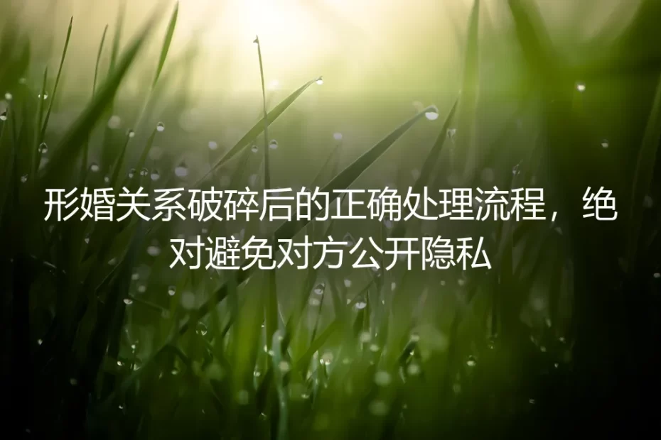 形婚关系破碎保姆级处理指南：全流程防范隐私泄露 杜绝隐私公开风险