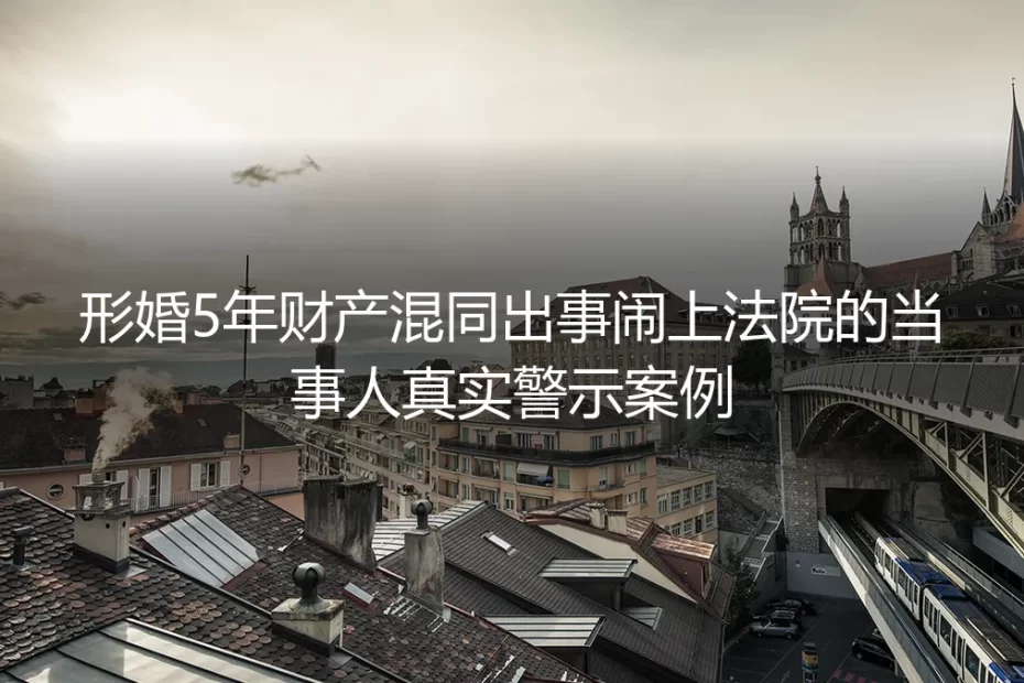 形婚5年财产混同闹上法院：没签协议的搭档，给所有形婚群体敲了最响的警钟