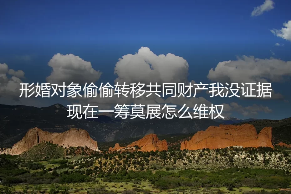 形婚财产转移维权深度FAQ:无证据时的应对路径与风险防控指南