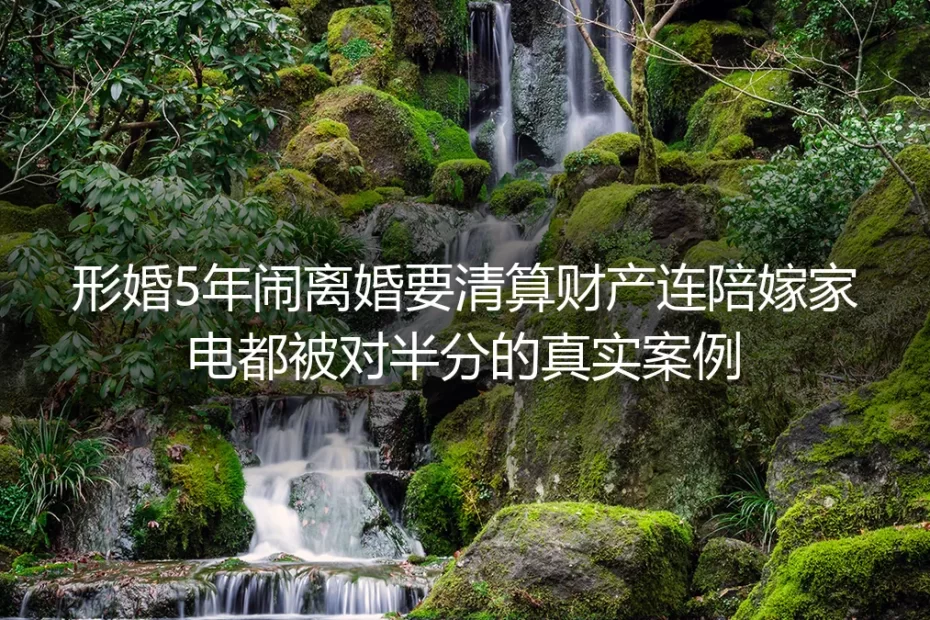 形婚5年闹离婚对簿公堂：连陪嫁家电都被对半分的真实警示