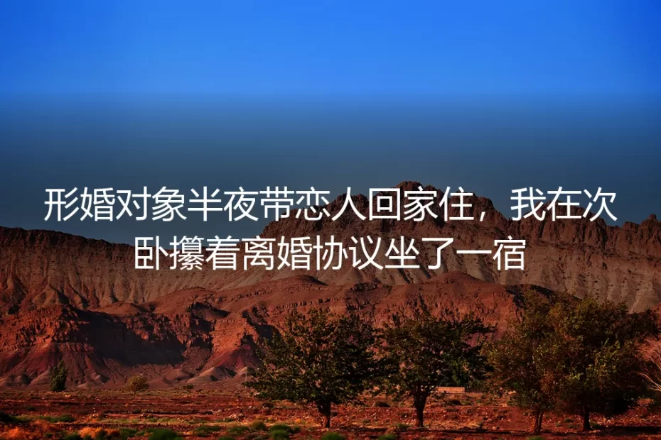 次卧灯亮一整夜：形婚第三年，我攥着离婚协议等到天光