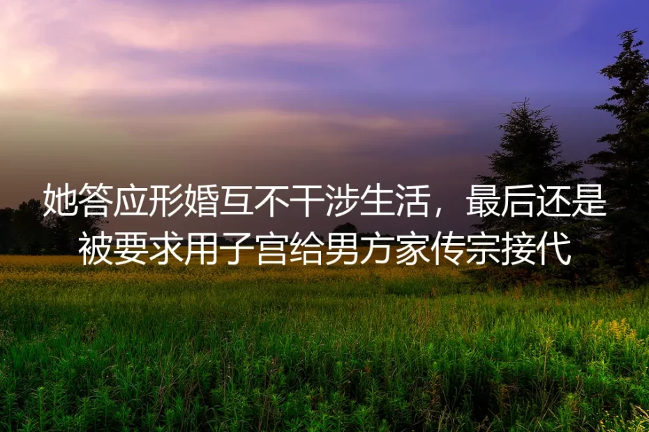 形婚第三年，我拒绝了没写进协议的“传宗接代”要求