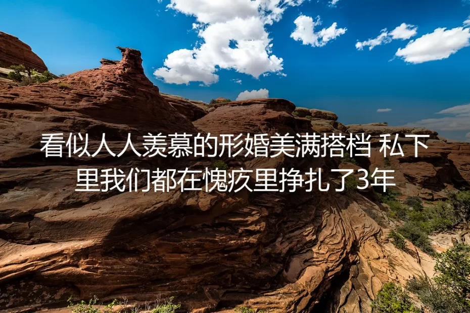 看似人人羡慕的形婚美满搭档，我们在愧疚里挣扎了3年