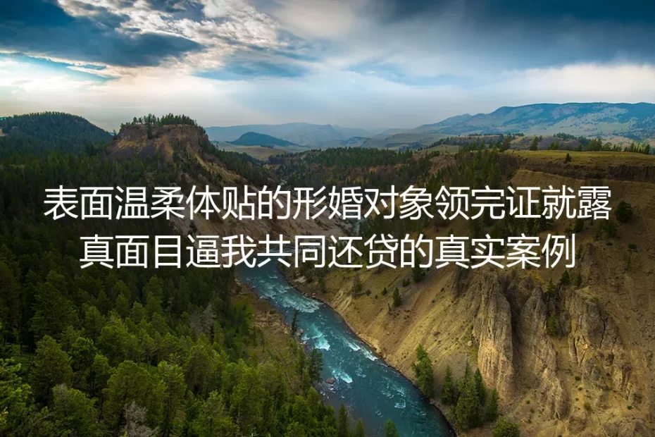 领证前温柔体贴的形婚对象，领证后逼我共同还贷：真实案例深度剖析