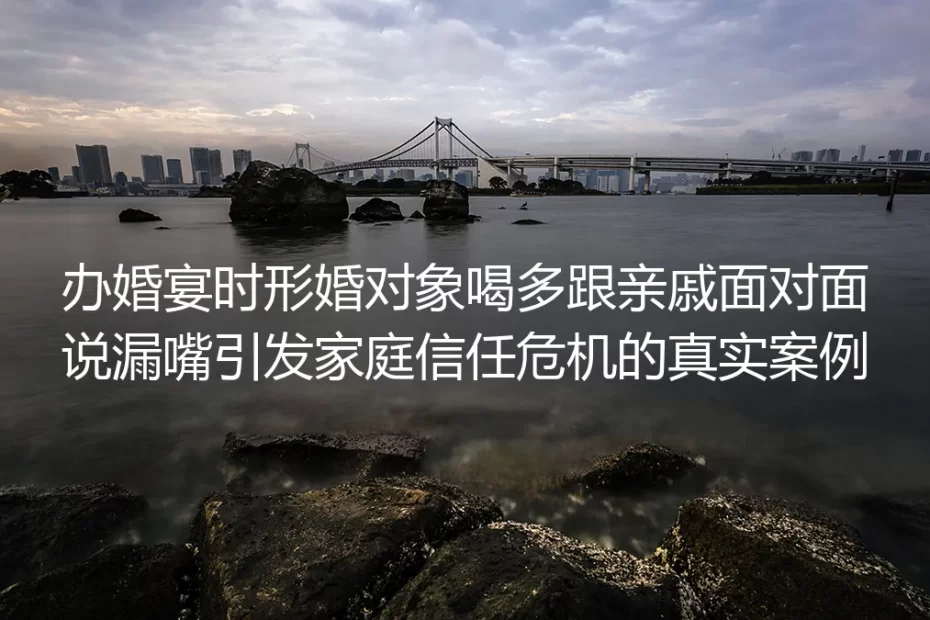 婚宴上形婚对象喝多漏嘴:我铺垫3年的安稳局差点崩盘