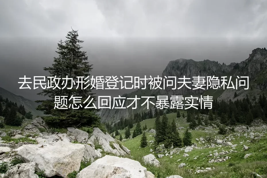 形婚民政登记FAQ:被问隐私问题怎么回应才不暴露实情
