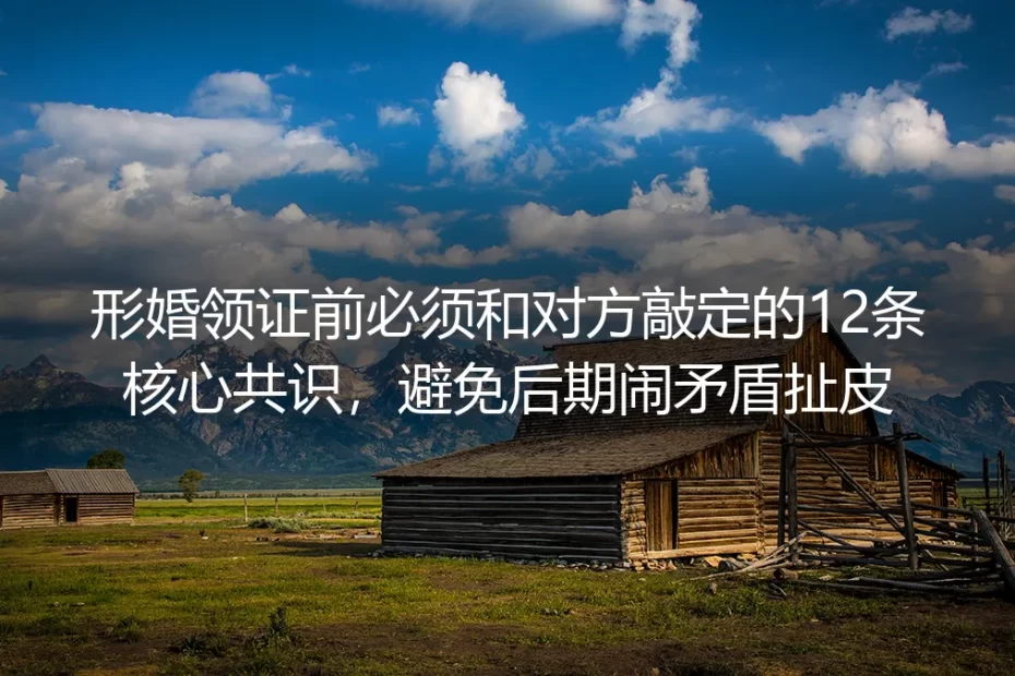 形婚领证前必须敲定的12条核心共识:保姆级实操避坑指南