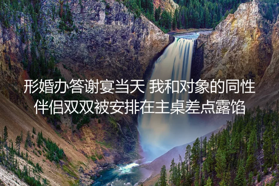 答谢宴主桌惊魂:那场差点穿帮的形婚,成了我们最踏实的退路