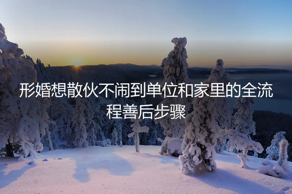 形婚和平散伙保姆级实操指南：不闹到单位、不扰家人的全流程善后步骤