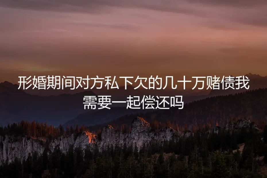 形婚深度FAQ:对方私下欠的几十万赌债,我需要共同偿还吗?
