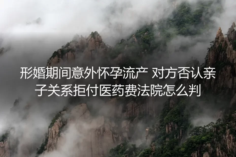 形婚期间意外怀孕流产遭对方否认亲子关系拒付医药费？法院裁判逻辑与避坑指南