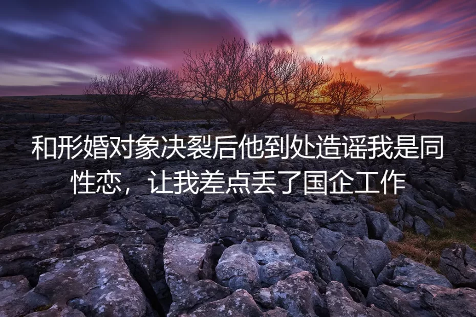形婚对象造谣我是同性恋那天，我差点丢了七年的国企工作