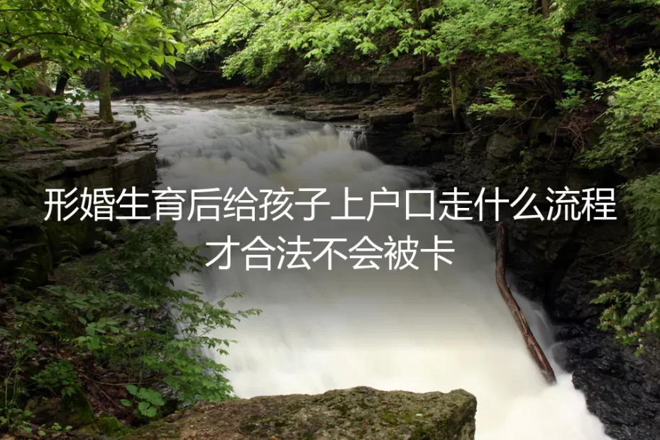 形婚生育后孩子合法上户口全流程:零卡壳保姆级实操避坑指南