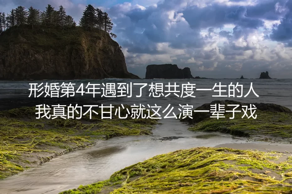 形婚第4年，我捧着沾洗洁精泡沫的手机，决定不再演一辈子戏