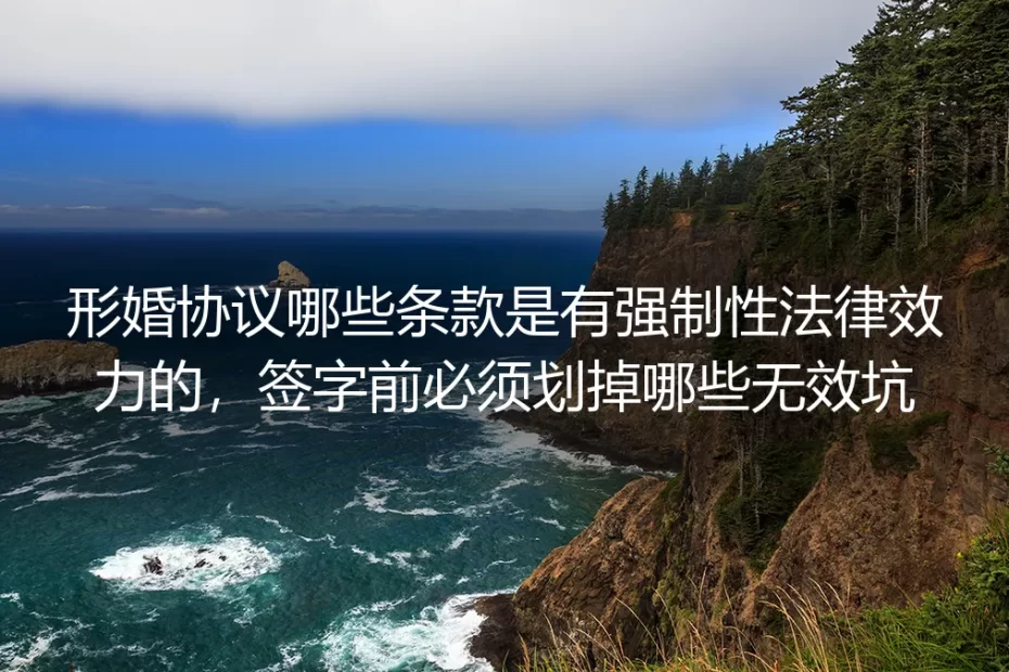 形婚协议实操避坑指南：哪些条款有强制法律效力？签字前必须划掉这些无效陷阱