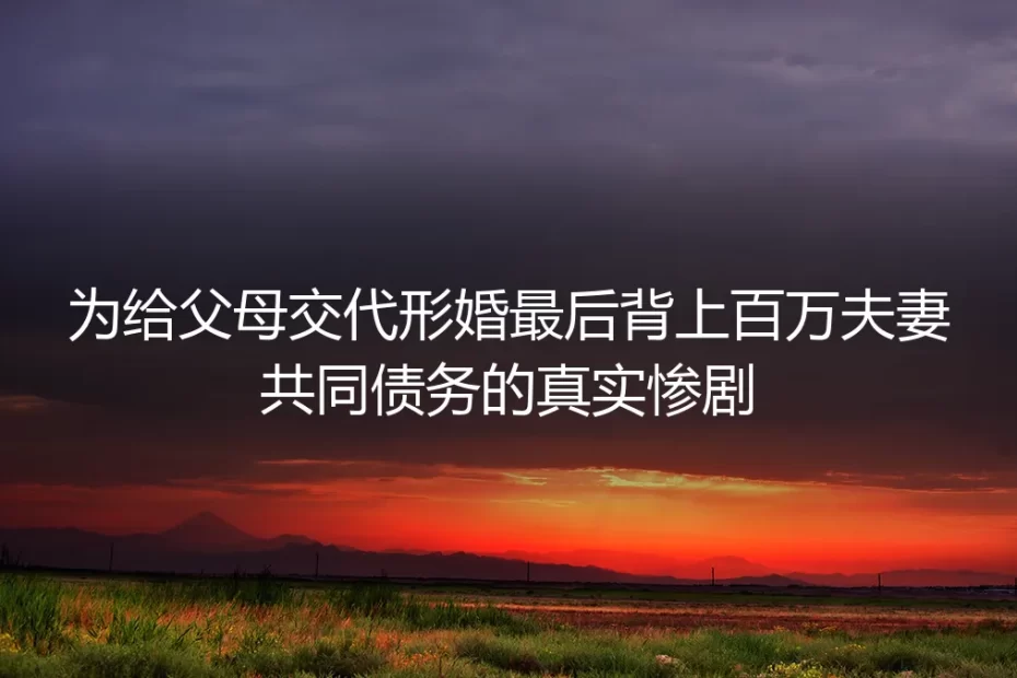 为给父母交代形婚背上百万夫妻共同债务:真实惨剧拆解与避坑指南