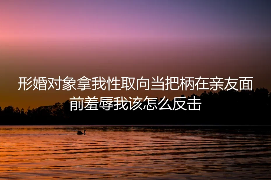 形婚深度答疑:被伴侣拿性取向当把柄公开羞辱,该如何理性反击止损?