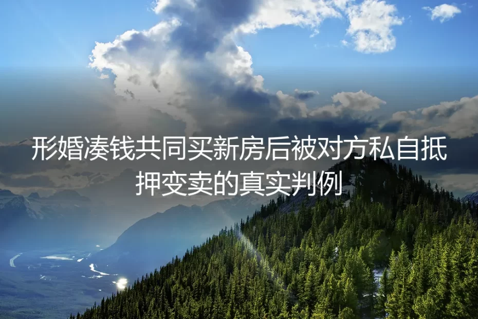 真实判例拆解:形婚凑钱共买新房被私自抵押变卖,如何守住财产底线