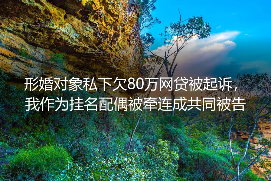 形婚对象私下欠80万网贷被起诉：挂名配偶如何跳出共同债务陷阱