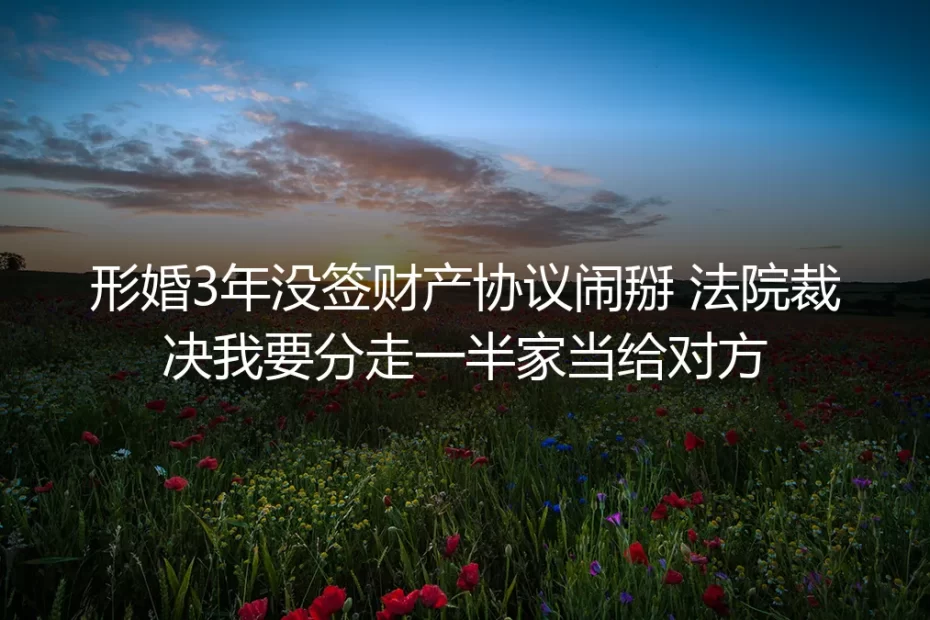 形婚3年没签财产协议闹掰:法院判我分走一半家当的真实警示