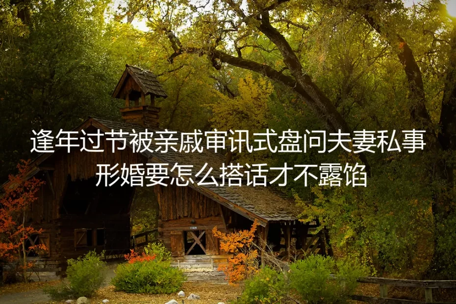 形婚逢年过节应对亲戚审讯式盘问FAQ:搭话不露馅的实操准则