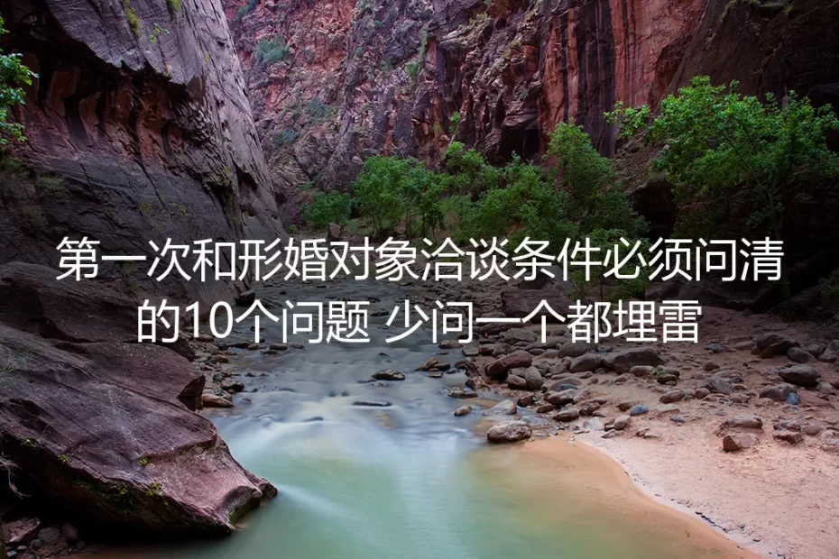 第一次和形婚对象洽谈条件必问的10个问题:少问一个都埋雷的实操避坑指南