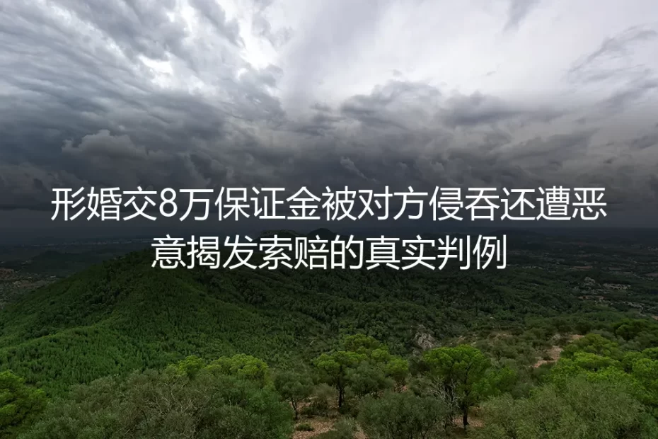 形婚交8万保证金遭侵吞反被索赔?真实判例拆解避坑核心