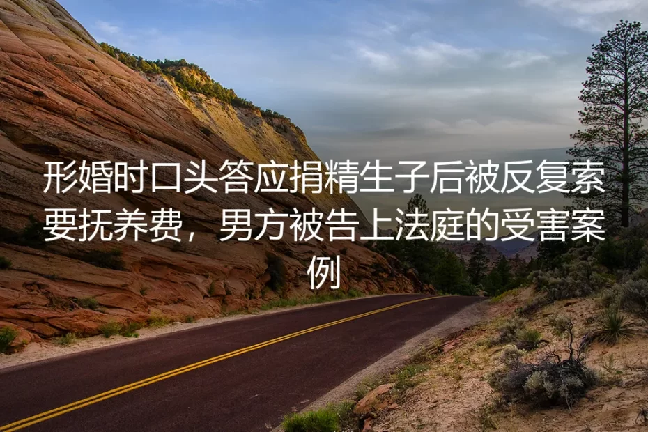 形婚口头答应捐精反被诉抚养费:32岁程序员的踩坑实录与避坑指南