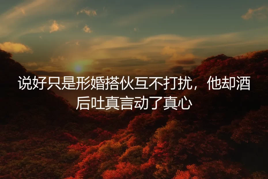 说好形婚搭伙互不打扰，他却在年饭桌上酒后动了真心