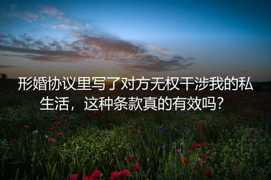 形婚深度FAQ：协议约定“对方无权干涉私生活”真的有效吗？