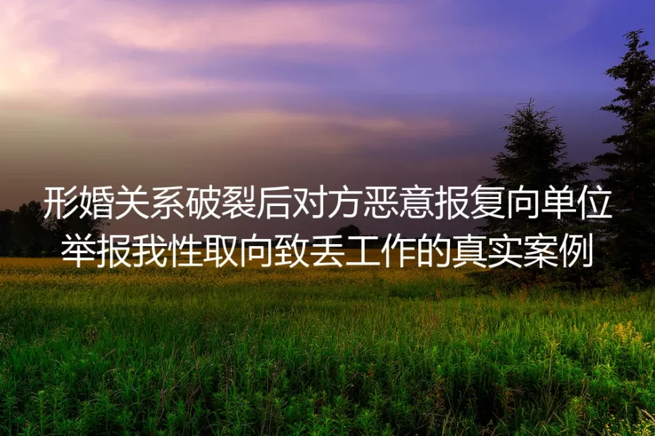 形婚关系破裂遭恶意举报性取向丢工作:真实案例拆解与避坑指南