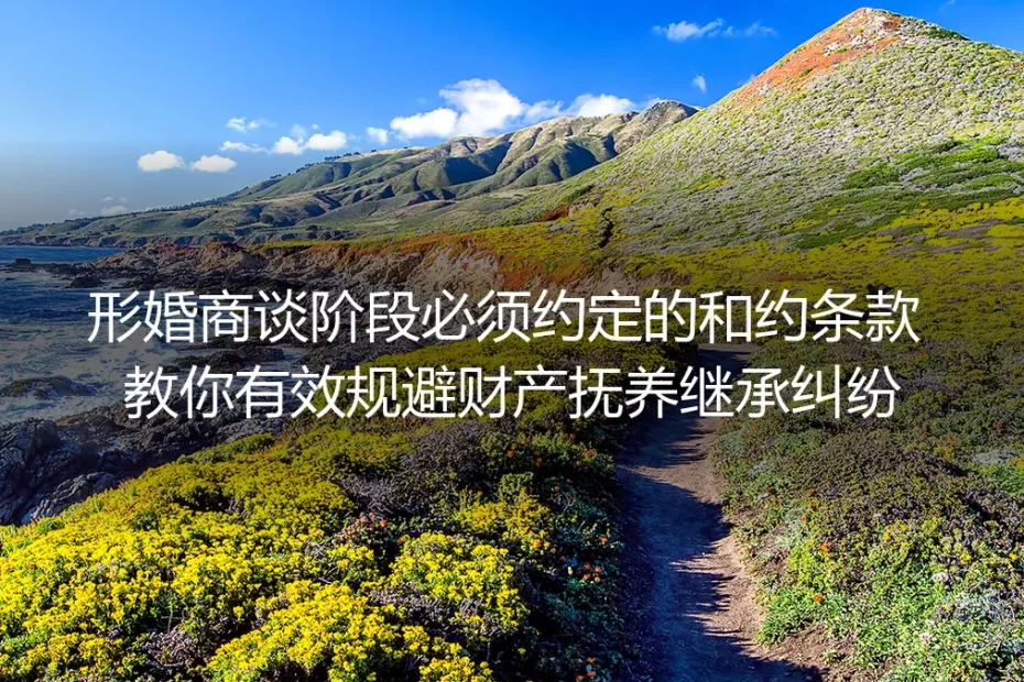 形婚商谈阶段必约定合约条款实操指南：从根源规避财产、抚养、继承纠纷