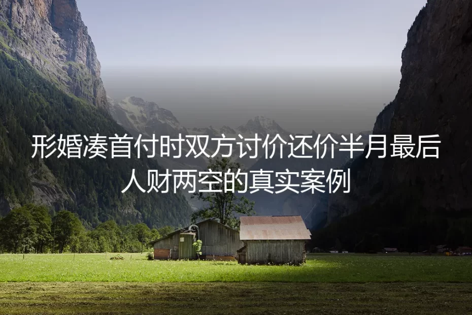 形婚凑首付讨价还价半月最终人财两空:算不清的账早埋了崩盘的雷