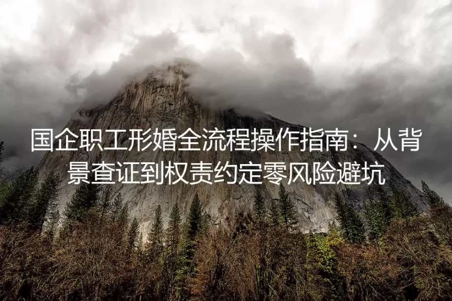 国企职工形婚全流程操作指南:从背景查证到权责约定零风险避坑