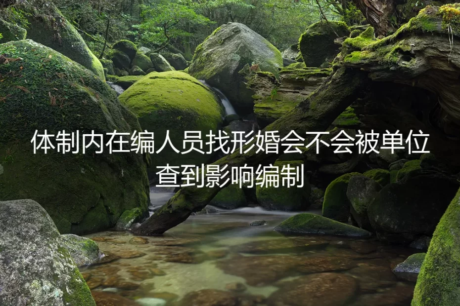 体制内在编人员形婚深度答疑：会不会被单位查到影响编制？