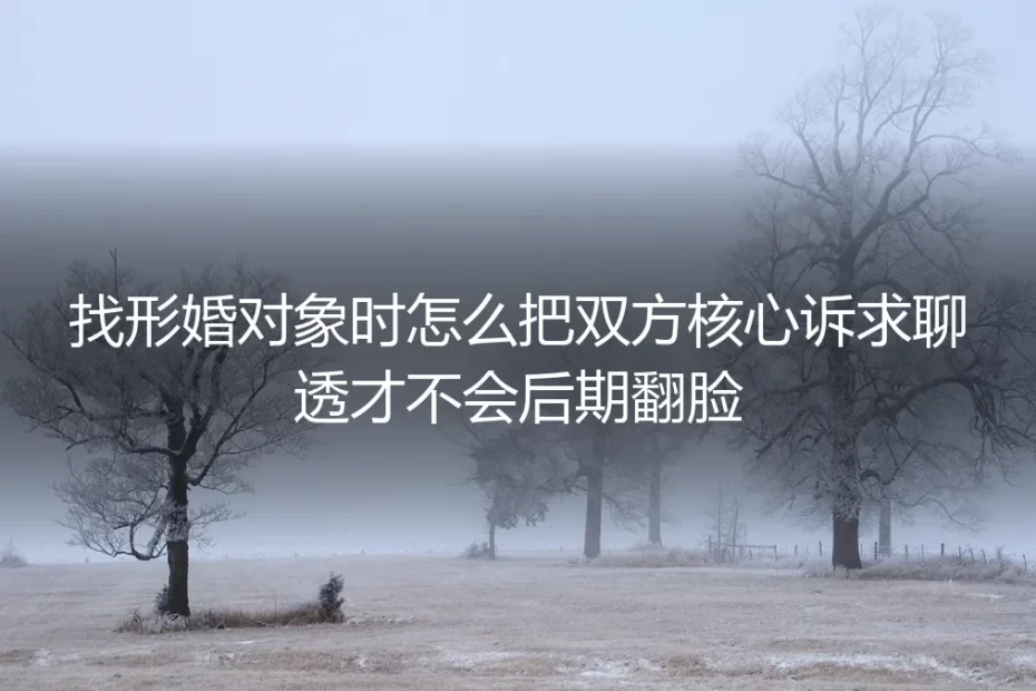形婚核心诉求沟通保姆级指南:找对象时聊透这些规则,从根源避免后期翻脸