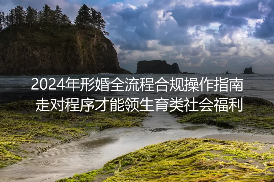 2024年形婚全流程合规操作保姆级指南：走对程序合法申领生育类社会福利