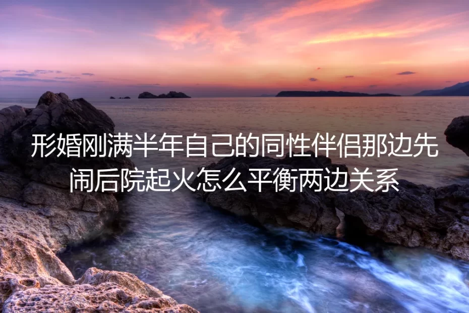 形婚满半年遇同性伴侣“后院起火”：两边关系平衡保姆级避坑指南
