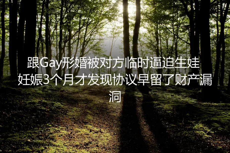 妊娠3个月被形婚对象逼生:我签的万全协议,早藏了200万的财产坑