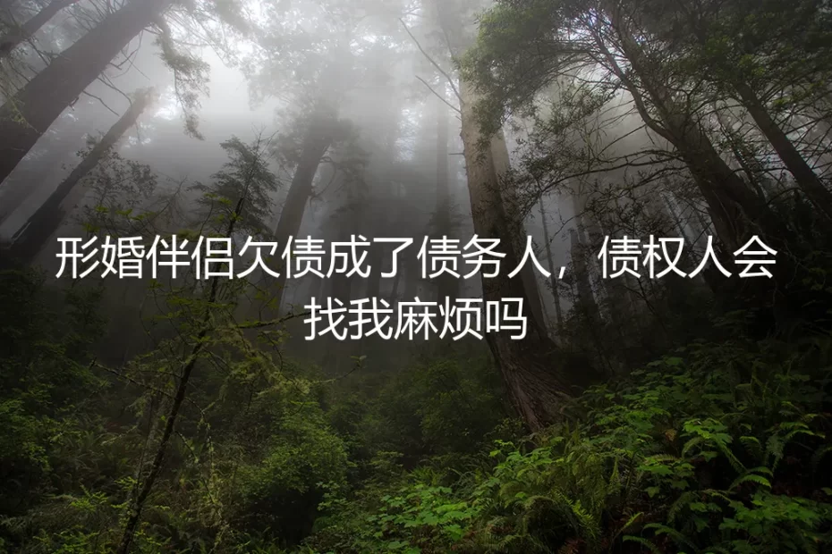 形婚伴侣欠债,债权人会找我麻烦吗?| 深度答疑