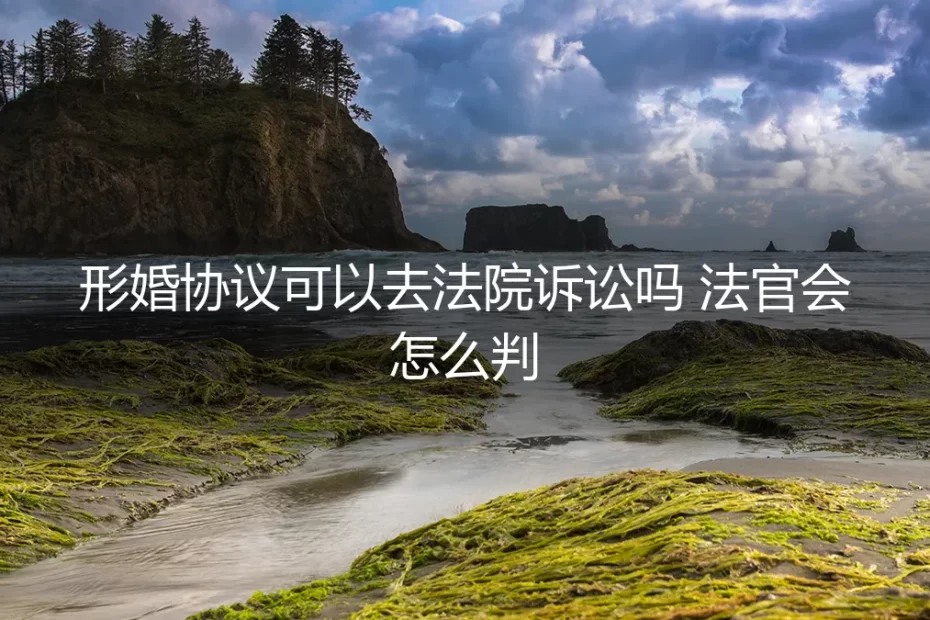 形婚协议可以去法院诉讼吗？法官会怎么判？深度解析