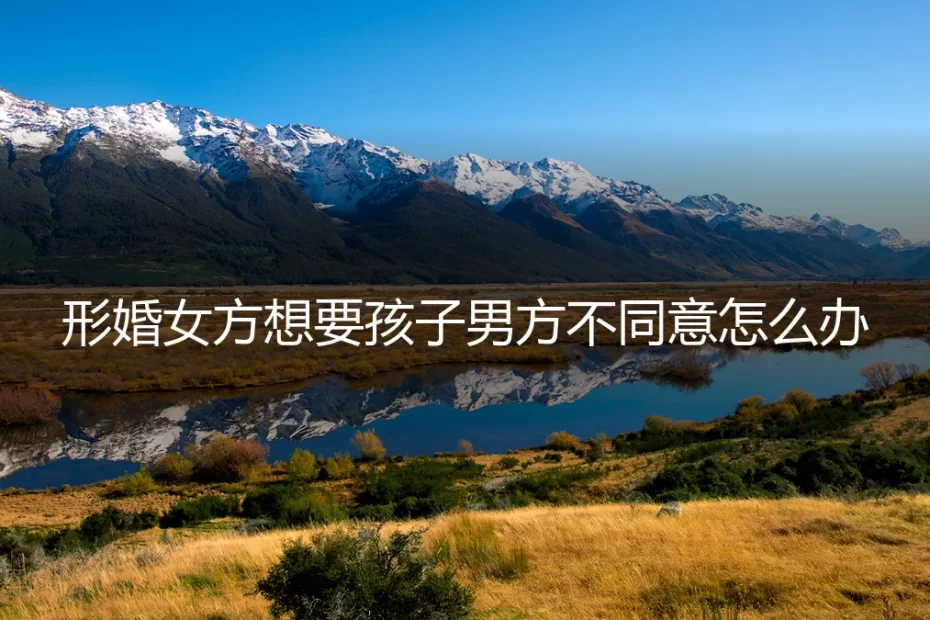 形婚女方想要孩子男方不同意：深度答疑与风险指南