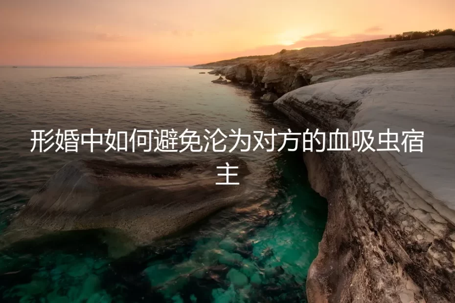 形婚中如何避免沦为对方的血吸虫宿主：一场需要精密计算的人生合伙