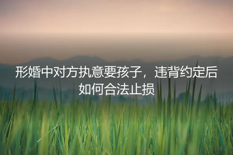 形婚中对方执意要孩子，违背约定后如何合法止损