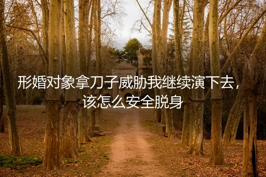 形婚对象拿刀子威胁我继续演下去，该怎么安全脱身？