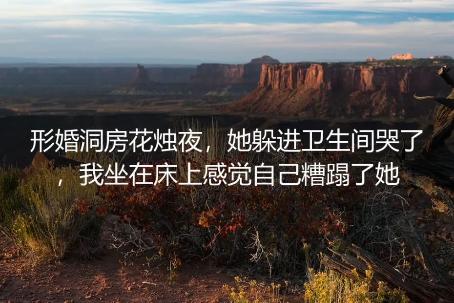 形婚洞房花烛夜:她在卫生间流泪,我坐在床上看清了自己